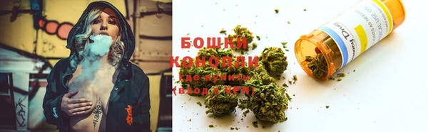 соль ск Касимов
