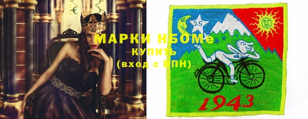 индика Карталы