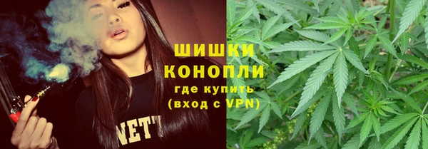 соль ск Касимов