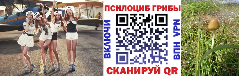 Галлюциногенные грибы Psilocybine cubensis  даркнет Telegram  Яблоновский 